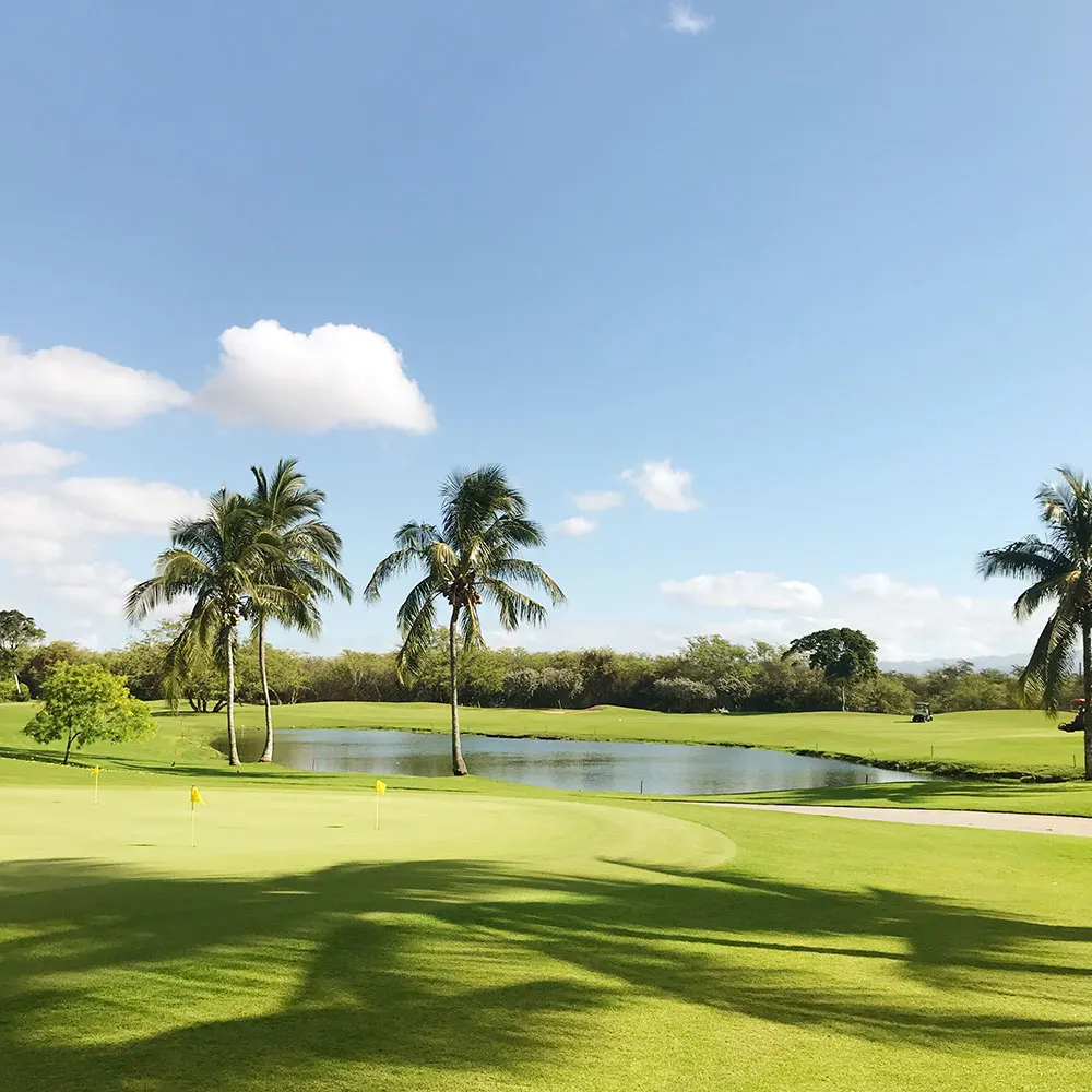 A golf course