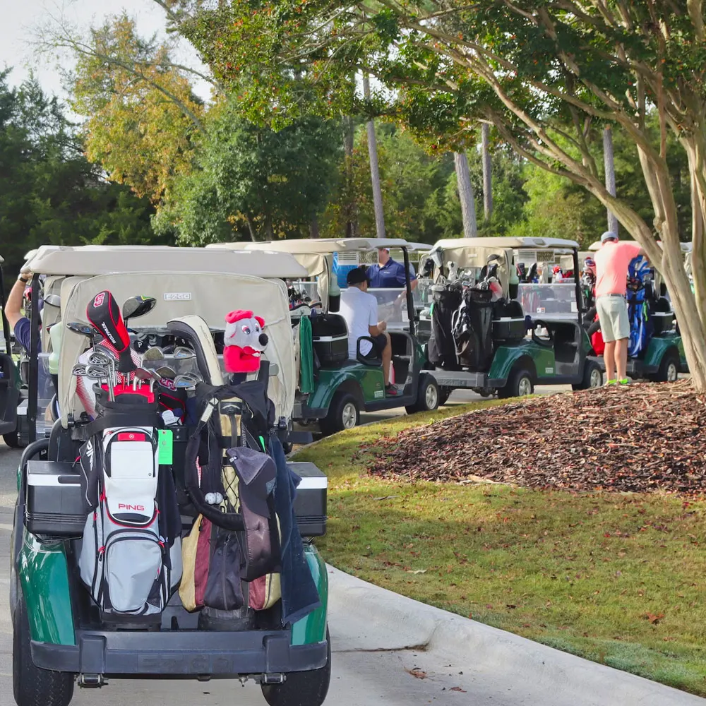 Golf carts on a course